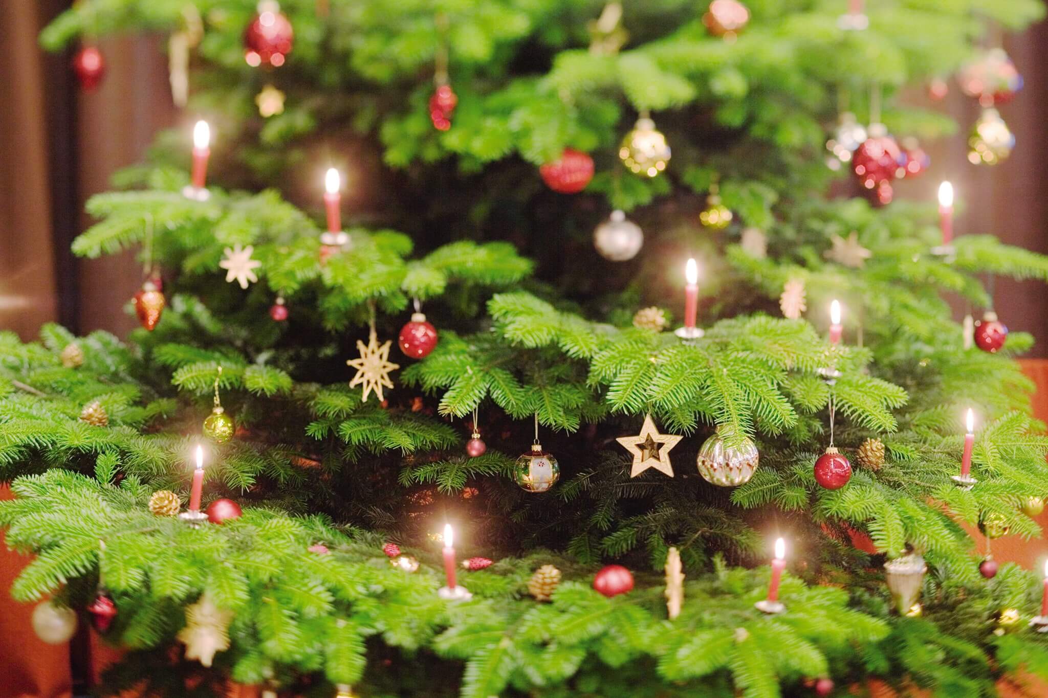 Christmas tree light up at the newly launched Gallery Lobby Visit Bahrain